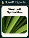 Wescott Spiderlites