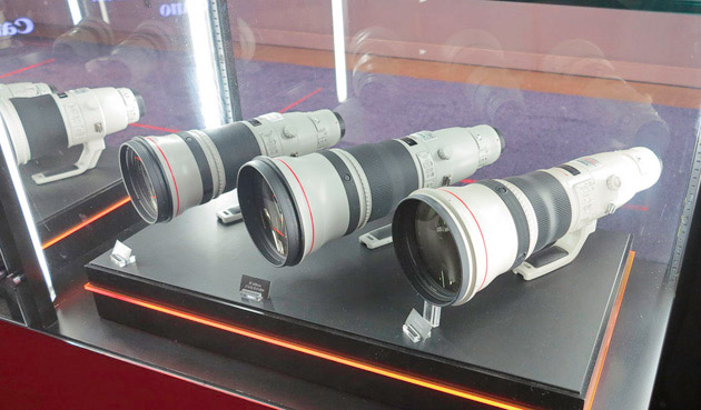 Different Canon telephoto lenses displayed in booth: 500mm, 600mm and 800mm