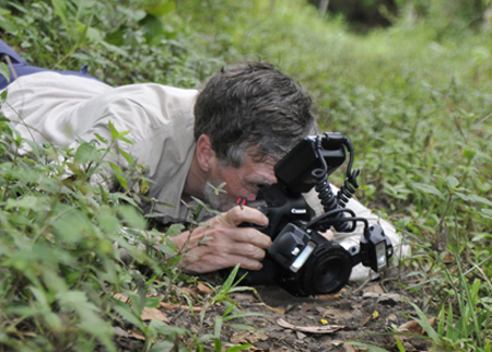 Nicholas Hellmuth photographing leaf-carrying ant, Sayaxché Petén Macro Photography