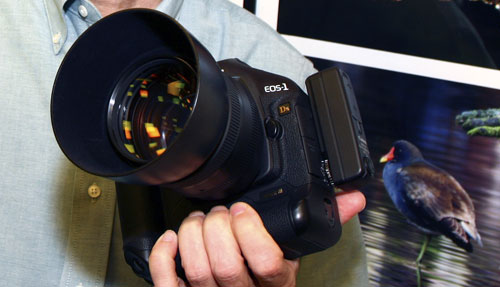 Canon EOS 1Ds Mark III Digital SLR