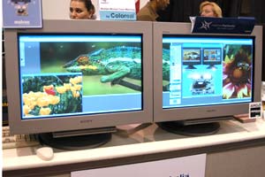 Sony Monitors at Seybold 2002